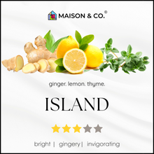 Load image into Gallery viewer, ISLAND | HOTEL INSPIRED SCENT | PURE ESSENTIAL OIL | 10ML & 30ML