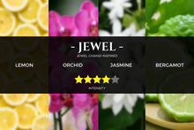 Load image into Gallery viewer, A HOTEL INSPIRED SCENT | 500ML REED DIFFUSER REFILL