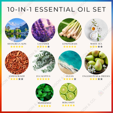 Load image into Gallery viewer, pure-essential-oils-young-living-hysses-pristine-lavender-lemongrass-sandalwood-ion-orchard-eucalyptus-bergamot-diffuser-aromatherapy-home-fragrance-scent-aroma-reed-diffuser