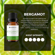 Load image into Gallery viewer, Bergamot
