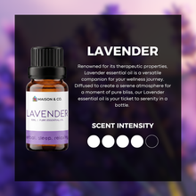 Load image into Gallery viewer, Lavender
