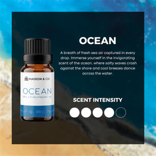 Load image into Gallery viewer, Ocean
