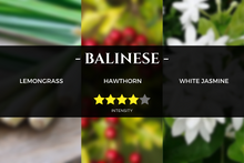 Load image into Gallery viewer, banyan-tree-inspired-scent-hotel-fragrance_aromatherapy-pure-essential-oils-aroma-reed-diffusers-nebulizer-kirona
