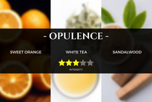 Load image into Gallery viewer, hilton-inspired-scent-hotel-fragrance_aromatherapy-pure-essential-oils-aroma-reed-diffusers-nebulizer-kirona
