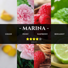 Load image into Gallery viewer, marina-bay-mbs-inspired-scent-hotel-fragrance-aromatherapy-pure-essential-oils-aroma-scent-lemongrass-lavander
