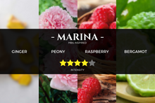 Load image into Gallery viewer, marina-bay-sands-mbs-inspired-scent-hotel-fragrance_aromatherapy-pure-essential-oils-aroma-reed-diffusers-nebulizer-kirona
