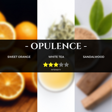 Load image into Gallery viewer, opulence-scent-hotel-fragrance-aromatherapy-pure-essential-oils-aroma-scent-lemongrass-lavander-reed-diffuser

