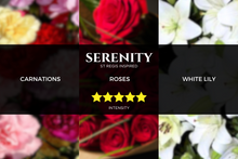 Load image into Gallery viewer, pristine-st-regis-inspired-scent-hotel-fragrance_aromatherapy-pure-essential-oils-aroma-reed-diffusers-nebulizer-kirona_09f716d3-e170-40b2-bda0-fb9f48869e94
