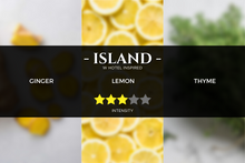 Load image into Gallery viewer, pristine-w-hotel-inspired-scent-hotel-fragrance_aromatherapy-pure-essential-oils-aroma-reed-diffusers-nebulizer-kirona
