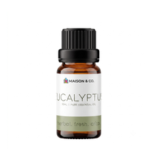 Load image into Gallery viewer, Eucalyptus
