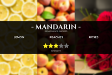 Load image into Gallery viewer, renaissance-inspired-scent-hotel-fragrance_aromatherapy-pure-essential-oils-aroma-reed-diffusers-nebulizer-kirona

