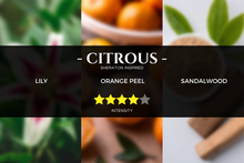 Load image into Gallery viewer, sheraton-inspired-scent-hotel-fragrance_aromatherapy-pure-essential-oils-aroma-reed-diffusers-nebulizer-kirona
